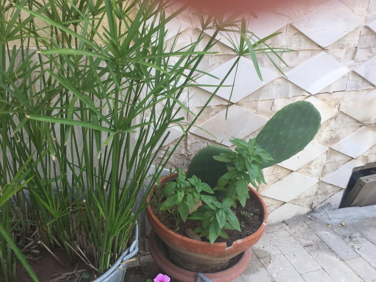 Casa Vacanze Le Rose Marina di Ragusa Dış mekan fotoğraf